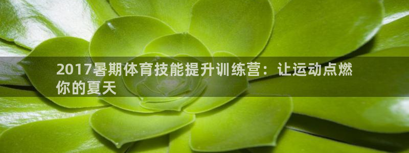 耀世国际平台正规吗可靠吗：2017暑期体育技能提升训