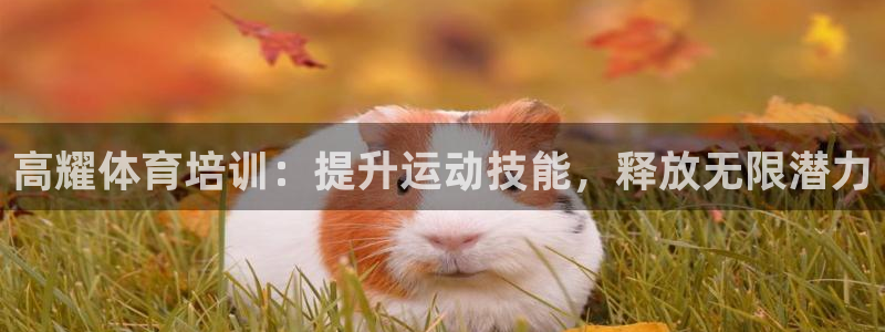 耀世娱乐是什么：高耀体育培训：提升运动技能，释放无限