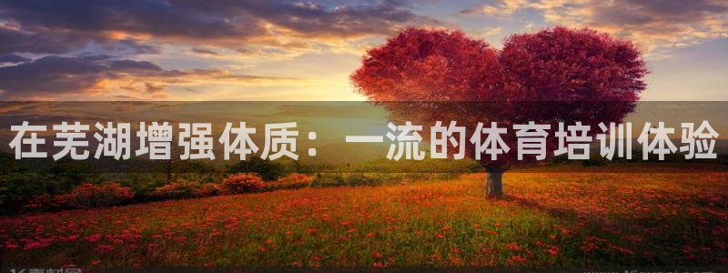 耀世娱乐如何登录平台：在芜湖增强体质：一流的体育培训