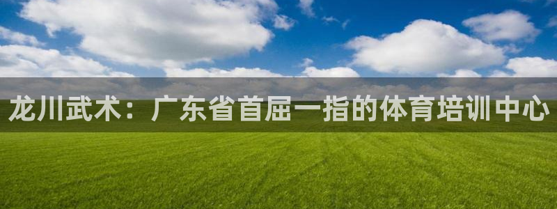 耀世集团视频介绍下载：龙川武术：广东省首屈一指的体育