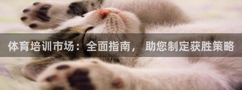耀世平台注册链接怎么打开：体育培训市场：全面指南， 