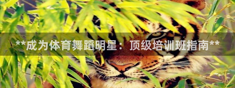 耀世平台开户