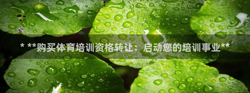耀世娱乐是不是很黑呀：* **购买体育培训资格转让：