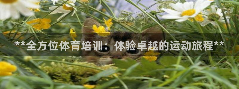 耀世娱乐是什么平台：**全方位体育培训：体验卓越的运