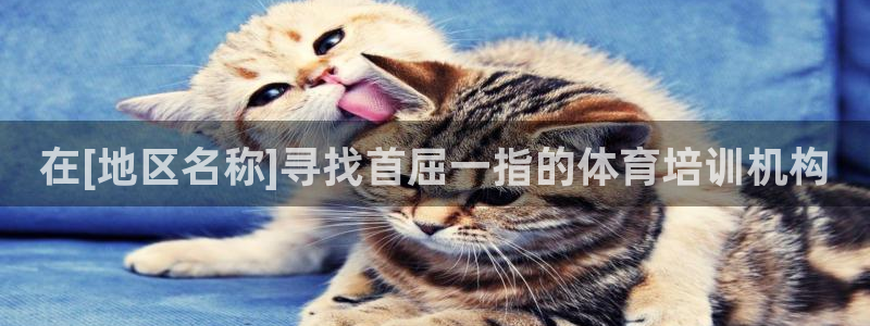 耀世集团视频直播是真的吗：在[地区名称]寻找首屈一指