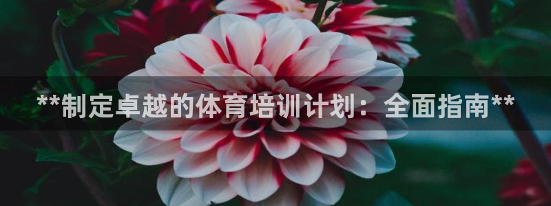 耀世雷霆官方版：**制定卓越的体育培训计划：全面指南