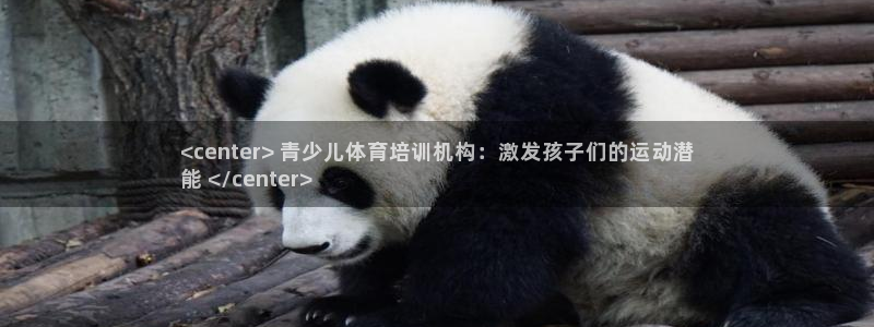 耀世集团七天三彩：<center> 青少儿体育培训机