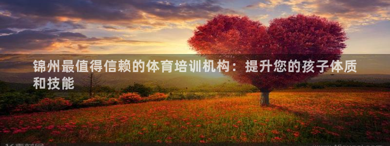 耀世开放什么意思：锦州最值得信赖的体育培训机构：提升
