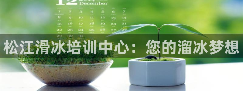 耀世娱乐在线登录官网入口网址：松江滑冰培训中心：您的
