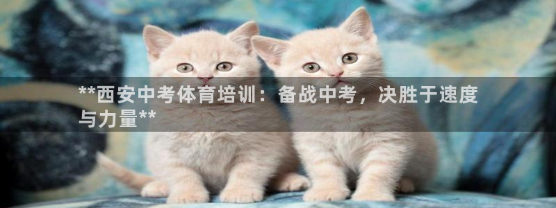 耀世平台云 411o31 耀世：**西安中考体育培训