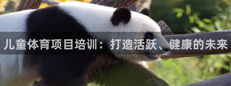 耀世平台注册网址：儿童体育项目培训：打造活跃、健康的