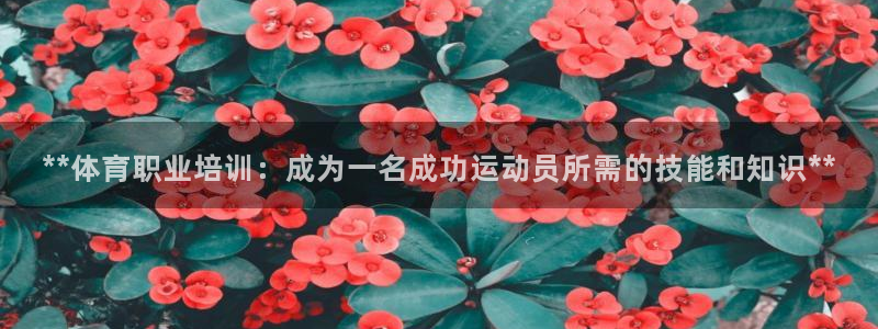 耀世娱乐赢咖APP：**体育职业培训：成为一名成功运