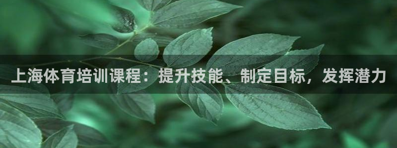 耀世娱乐下载最新版本安装教程：上海体育培训课程：提升