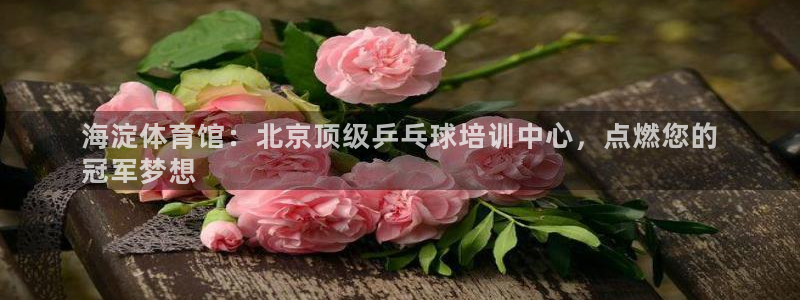 耀世集团商业联盟罗文斌主任：海淀体育馆：北京顶级乒乓