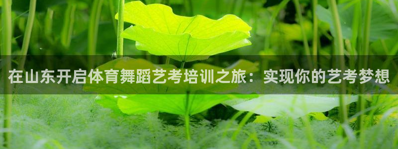 耀世登场后面一句：在山东开启体育舞蹈艺考培训之旅：实
