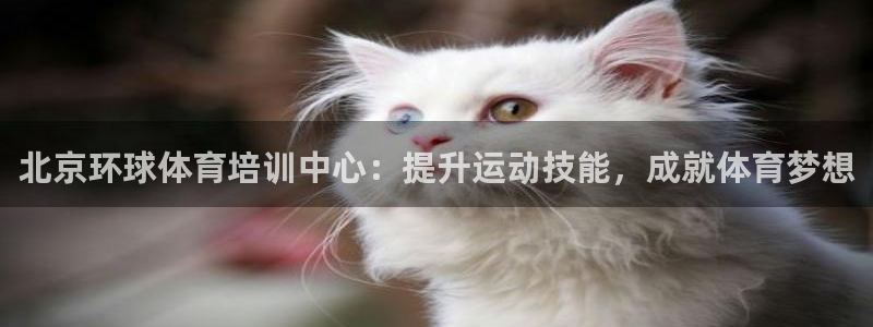 耀世娱乐能不能提现到支付宝：北京环球体育培训中心：提