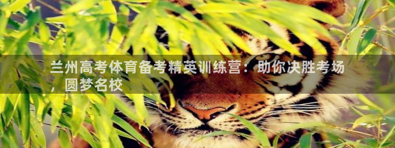 耀世集团董事长简介：兰州高考体育备考精英训练营：助你