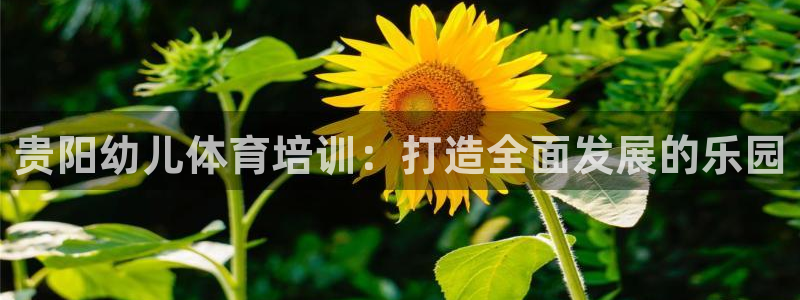耀世平台负责人是谁：贵阳幼儿体育培训：打造全面发展的