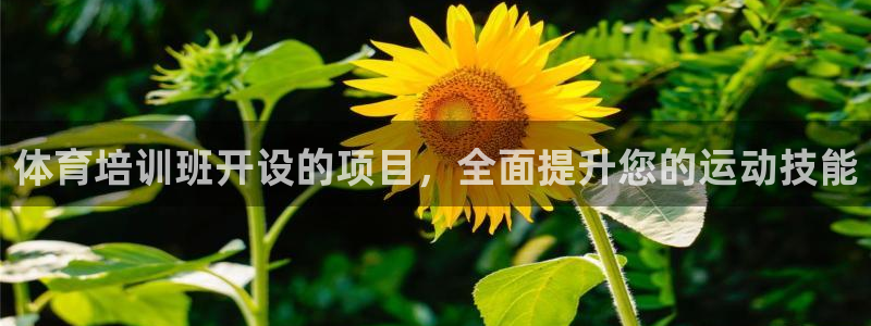 耀世国际平台正规吗可靠吗可信吗：体育培训班开设的项目