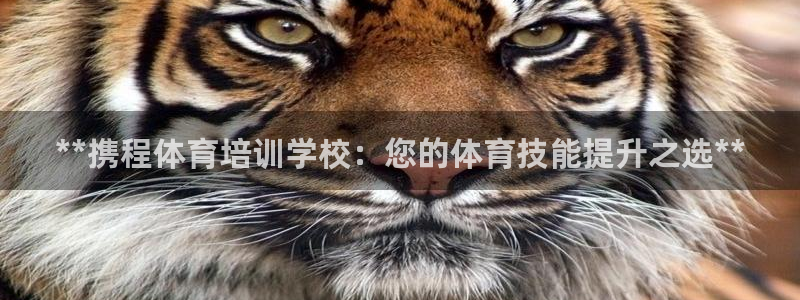 耀世平台合作 585.34I 平台：**携程体育培训