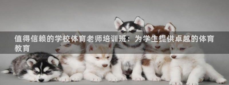 耀世开放什么意思：值得信赖的学校体育老师培训班：为学