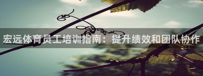 耀世天下怎么接：宏远体育员工培训指南：提升绩效和团队