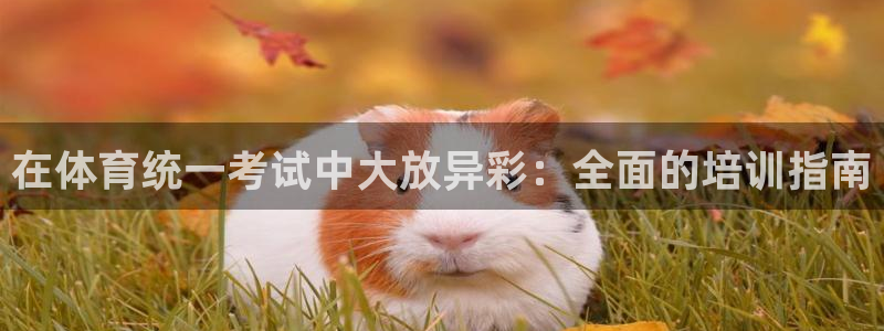 耀世娱乐在线登录官网入口下载：在体育统一考试中大放异