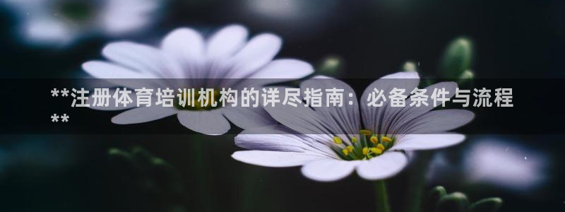 耀世集团王总简介：**注册体育培训机构的详尽指南：必