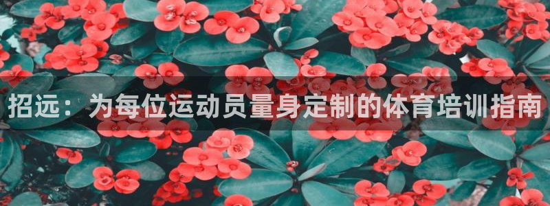耀世娱乐老板是谁：招远：为每位运动员量身定制的体育培