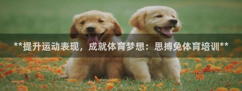 耀世歌曲
