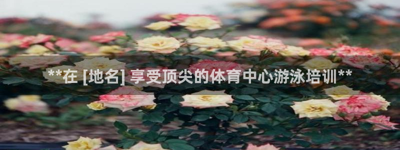 哪吒s耀世版价格：**在 [地名] 享受顶尖的体育中
