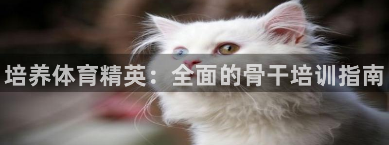 耀世娱乐怎么注册不了：培养体育精英：全面的骨干培训指南