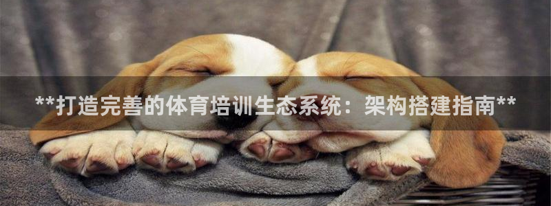 耀世娱乐平台主管：**打造完善的体育培训生态系统：架