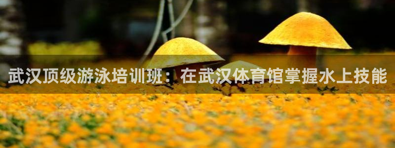 耀世娱乐的494o3 主管