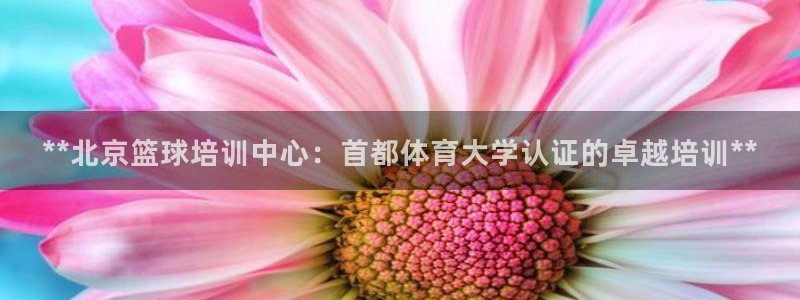 耀世平台app下载官网：**北京篮球培训中心：首都体