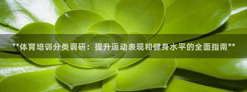 耀世天下的网名是什么意思啊男生：**体育培训分类调研