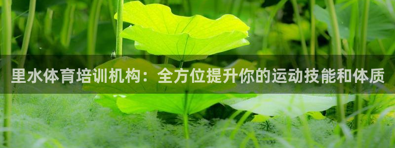 耀世平台主管代理是谁：里水体育培训机构：全方位提升你的运动技