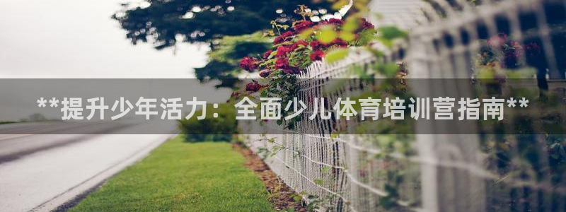 耀世娱乐登陆官网网址：**提升少年活力：全面少儿体育