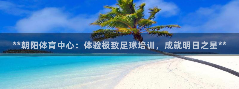 耀世汽车：**朝阳体育中心：体验极致足球培训，成就明