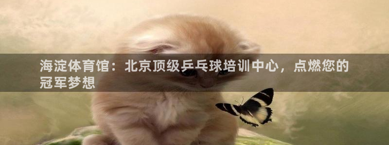 耀世登场一样的词：海淀体育馆：北京顶级乒乓球培训中心