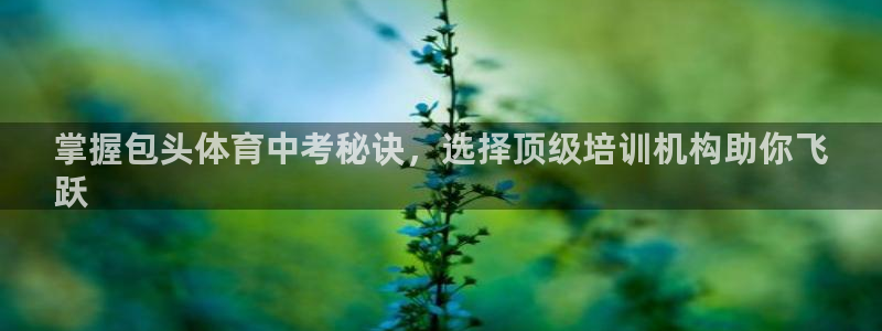 耀世微光下载：掌握包头体育中考秘诀，选择顶级培训机构