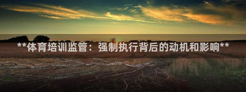 耀世挑战第3关怎么过：**体育培训监管：强制执行背后