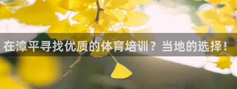 耀世娱乐挂机怎么玩：在漳平寻找优质的体育培训？当地的