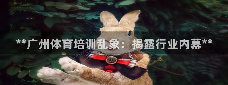 耀世娱乐代理什么待遇：**广州体育培训乱象：揭露行业