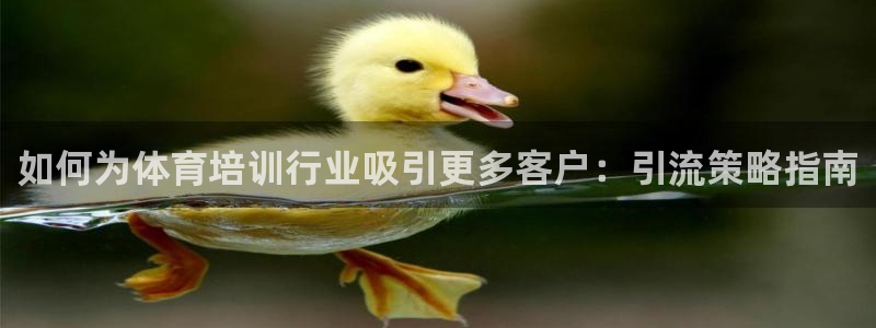 耀世娱乐官网网站下载：如何为体育培训行业吸引更多客户