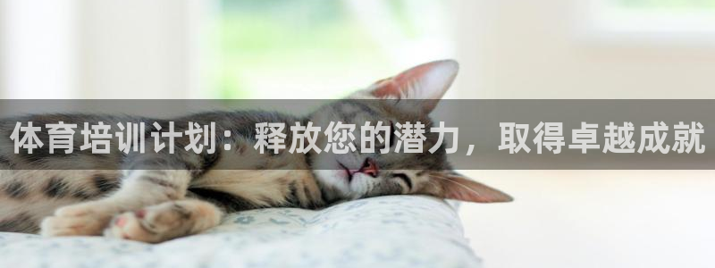 耀世平台梦 5O6917 平台：体育培训计划：释放您