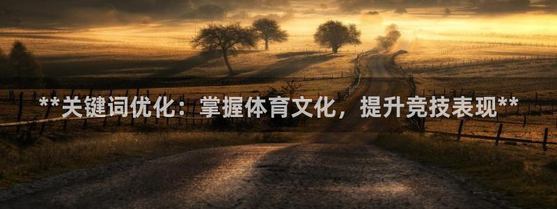 耀世娱乐平台官网登录入口手机版：**关键词优化：掌握