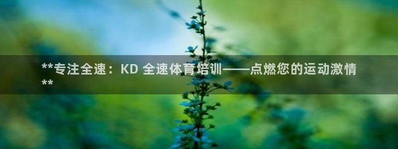 耀世平台非 41IO31 耀世
