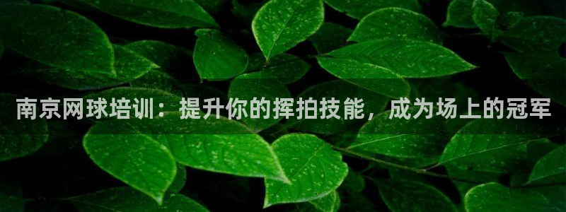 耀世娱乐官方网站下载：南京网球培训：提升你的挥拍技能