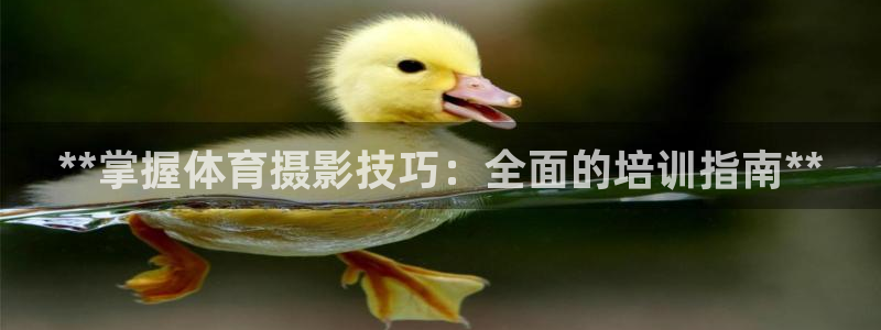 耀世娱乐老板叫什么：**掌握体育摄影技巧：全面的培训